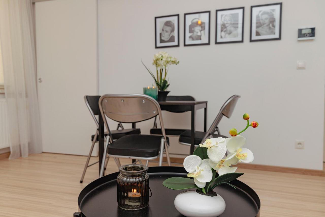 Beautiful 2-bedroom Near Schoenbrunn Vienne